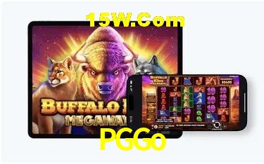 Experiência VIP PGGo